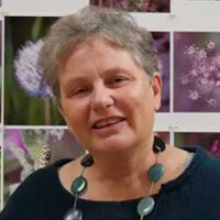 Diana Wackerbath Diana Wackerbath