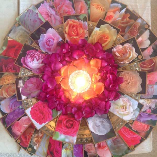 Rose Mandala